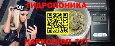 молекула духа Лесосибирск
