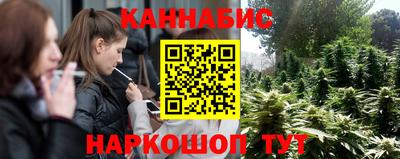 молекула духа Лесосибирск