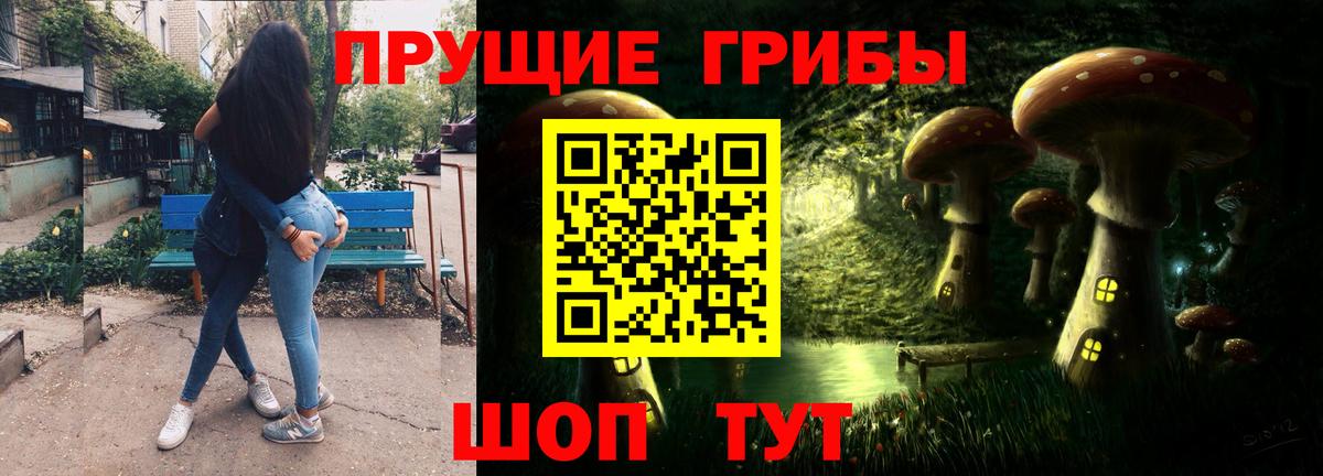 Галлюциногенные грибы Psilocybe Вятские Поляны